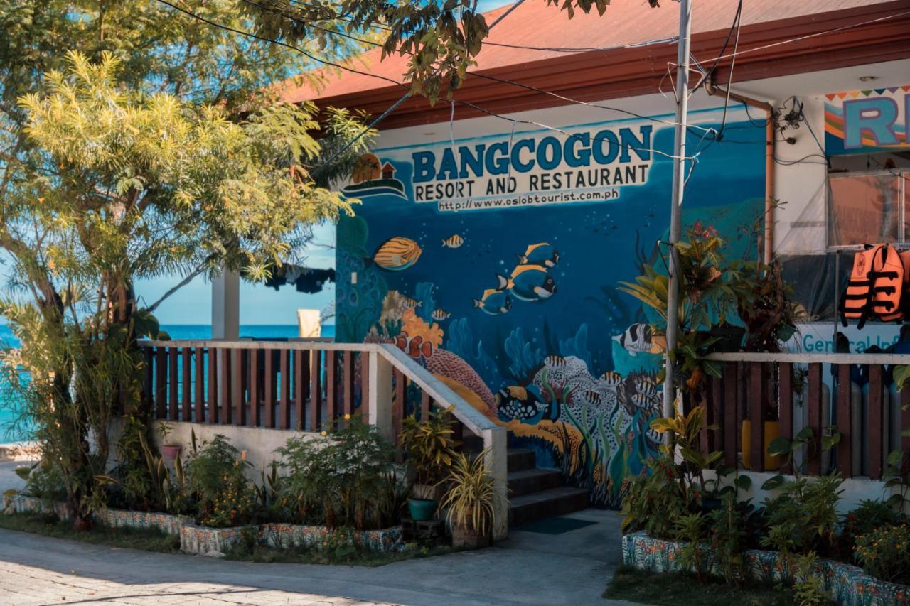 Island Front / Bangcogon Resort&Restaurant Oslob Extérieur photo