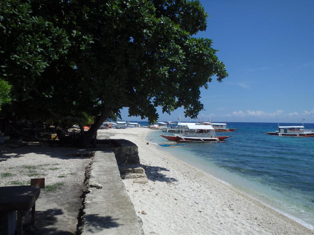 Island Front / Bangcogon Resort&Restaurant Oslob Extérieur photo